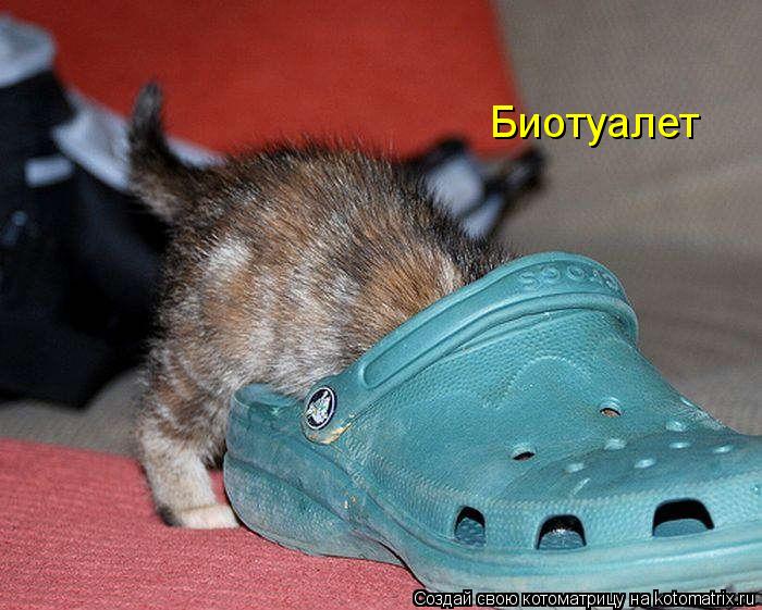 Биотуалет... Котоматрица: Биотуалет