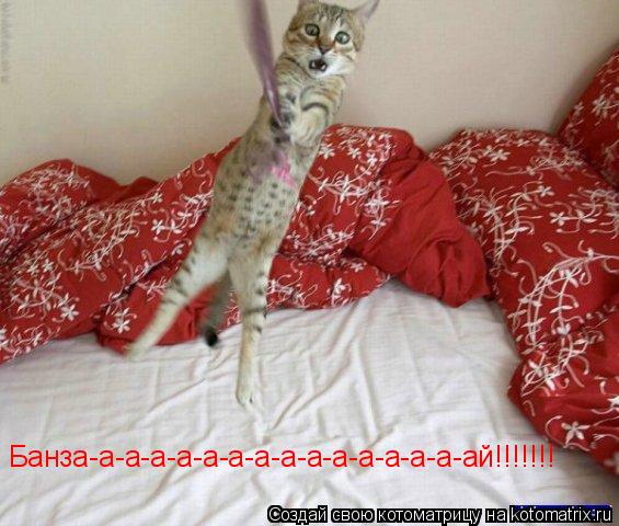 Банза-а-а-а-а-а-а-а-а-а-а-а-а-а-а-ай!!!!!!!... Котоматрица: Банза-а-а-а-а-а-а-а-а-а-а-а-а-а-а-ай!!!!!!!