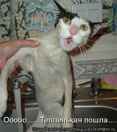 Ооооо..... Тепленькая пошла....... Котоматрица: Ооооо..... Тепленькая пошла....