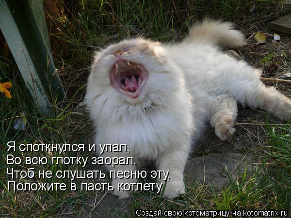 Статус спотыкаюсь Статус спотыкаюсь