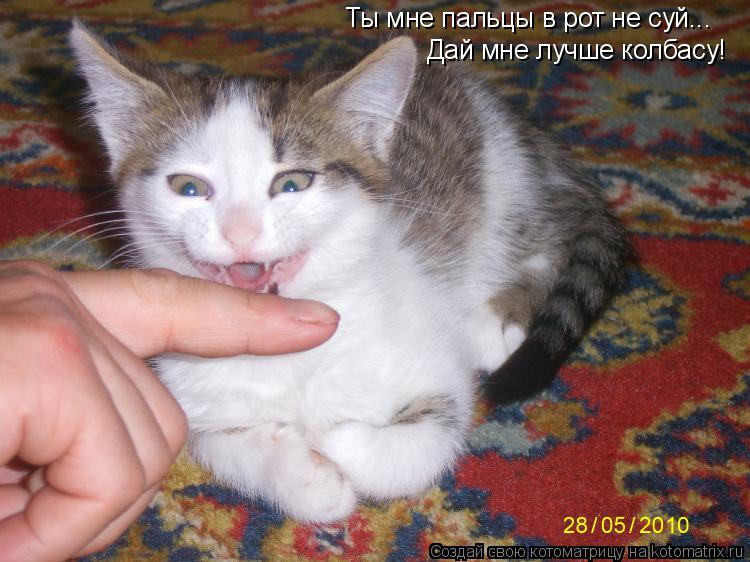 Ты мне пальцы в рот не суй... Дай мне лучше колбасу!... Котоматрица: Ты мне пальцы в рот не суй... Дай мне лучше колбасу!