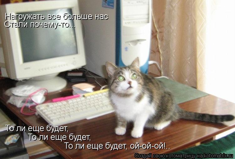 Нагружать все больше нас Стали почему-то... То ли еще будет, То ли еще будет, То ли еще будет, ой-ой-... Котоматрица: Нагружать все больше нас Стали почему-то... То ли еще будет, То ли еще будет, То ли еще будет, ой-ой-ой!..