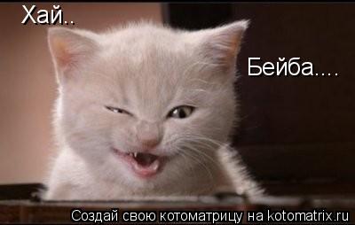 Хай.. Хай.. Бейба....... Котоматрица: Хай.. Хай.. Бейба....