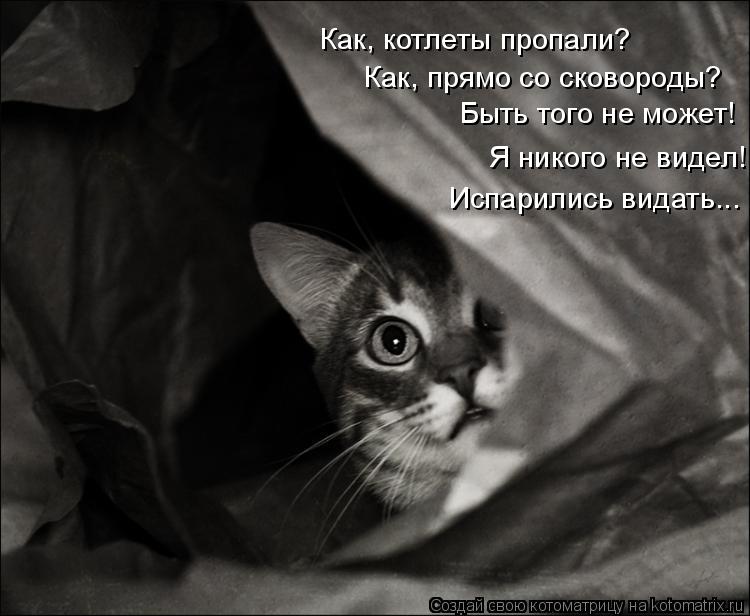 Как, котлеты пропали? Как, прямо со сковороды? Быть того не может! Я никого не видел! Испарились вида... Котоматрица: Как, котлеты пропали? Как, прямо со сковороды? Быть того не может! Я никого не видел! Испарились видать...