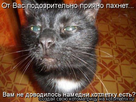 От Вас подозрительно прияно пахнет... От Вас подозрительно прияно пахнет... Вам не доводилось намедни... Котоматрица: От Вас подозрительно прияно пахнет... От Вас подозрительно прияно пахнет... Вам не доводилось намедни котлетку есть?