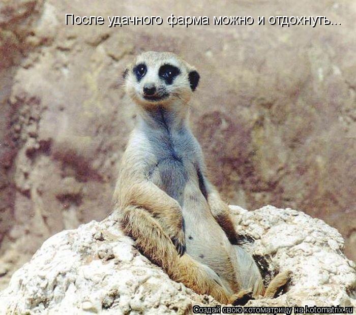 После удачного фарма можно и отдохнуть...... Котоматрица: После удачного фарма можно и отдохнуть...