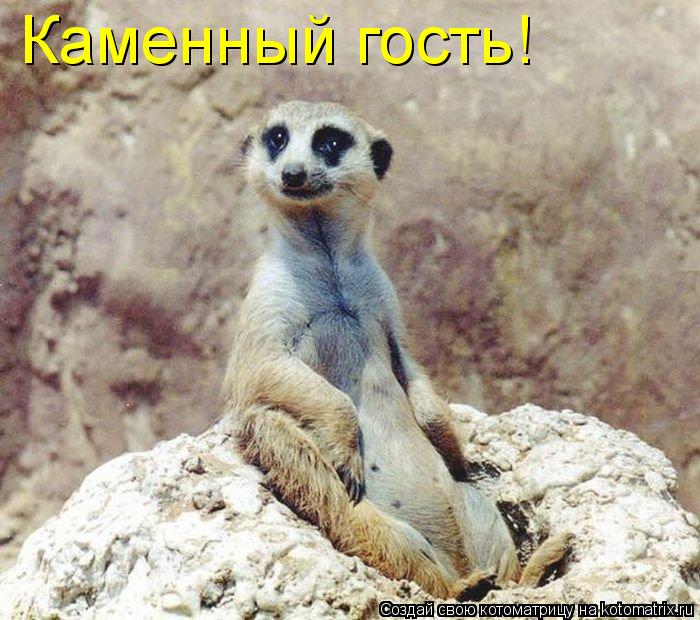 Каменный гость!... Котоматрица: Каменный гость!