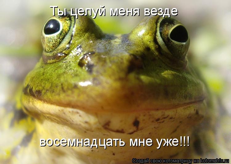 Ты целуй меня везде восемнадцать мне уже!!!... Котоматрица: Ты целуй меня везде восемнадцать мне уже!!!