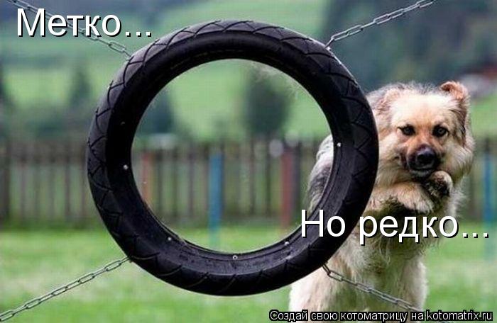 Метко... Но редко...... Котоматрица: Метко... Но редко...