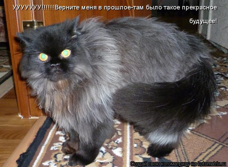 УУУУУУУ!!!!!!Верните меня в прошлое-там было такое прекрасное будущее!... Котоматрица: УУУУУУУ!!!!!!Верните меня в прошлое-там было такое прекрасное будущее!