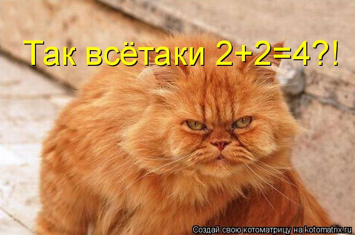 Так всётаки 2+2=4?!... Котоматрица: Так всётаки 2+2=4?!