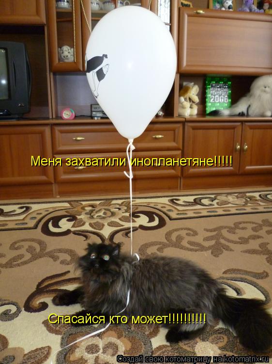 Меня захватили инопланетяне!!!!! Спасайся кто может!!!!!!!!!!... Котоматрица: Меня захватили инопланетяне!!!!! Спасайся кто может!!!!!!!!!!