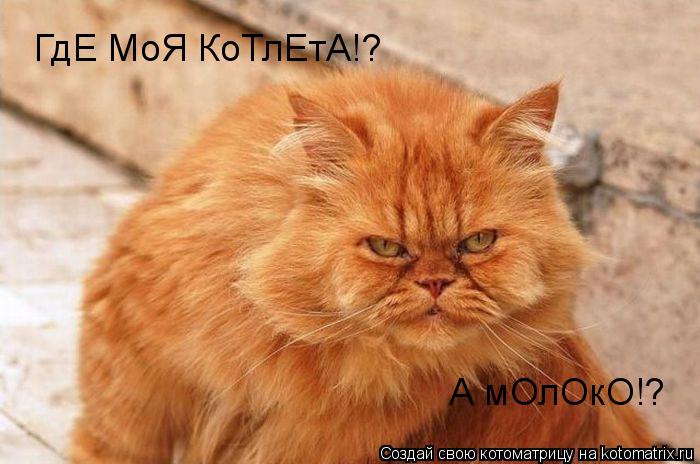 ГдЕ МоЯ КоТлЕтА!? А мОлОкО!?... Котоматрица: ГдЕ МоЯ КоТлЕтА!? А мОлОкО!?