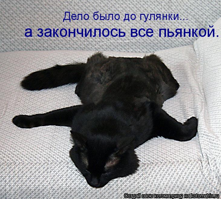 Дело было до гулянки... а закончилось все пьянкой.... Котоматрица: Дело было до гулянки... а закончилось все пьянкой.