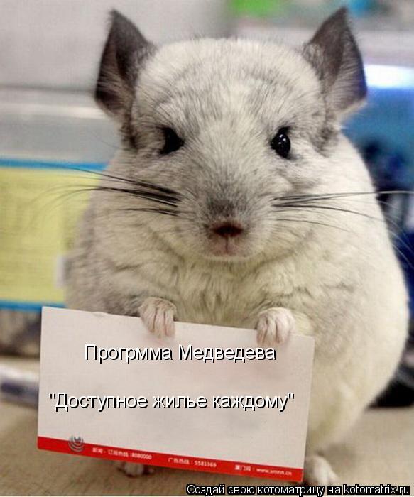 Прогрмма Медведева "Доступное жилье каждому"... Котоматрица: Прогрмма Медведева "Доступное жилье каждому"