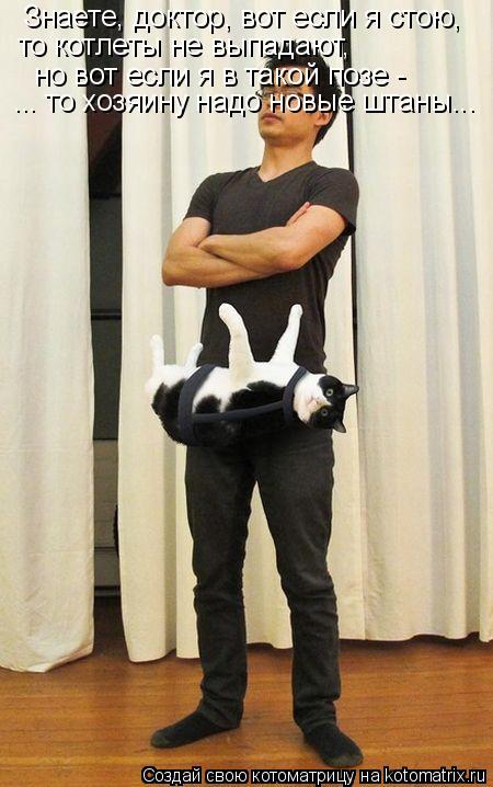 Знаете, доктор, вот если я стою, то котлеты не выпадают, но вот если я в такой позе - ... то хозяину... Котоматрица: Знаете, доктор, вот если я стою, то котлеты не выпадают, но вот если я в такой позе - ... то хозяину надо новые штаны...
