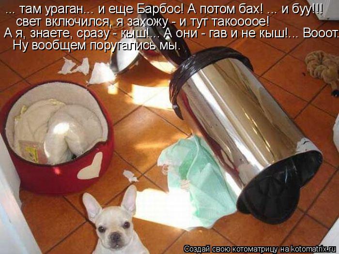 ... там ураган... и еще Барбос! А потом бах! ... и буу!!! свет включился, я захожу - и тут такоооое! ... Котоматрица: ... там ураган... и еще Барбос! А потом бах! ... и буу!!! свет включился, я захожу - и тут такоооое! А я, знаете, сразу - кыш!... А они - гав и не кыш