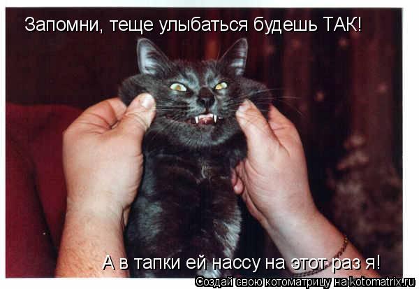 Запомни, теще улыбаться будешь ТАК! А в тапки ей нассу на этот раз я!... Котоматрица: Запомни, теще улыбаться будешь ТАК! А в тапки ей нассу на этот раз я!