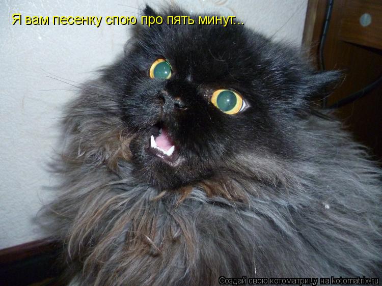 Я вам песенку спою про пять минут...... Котоматрица: Я вам песенку спою про пять минут...