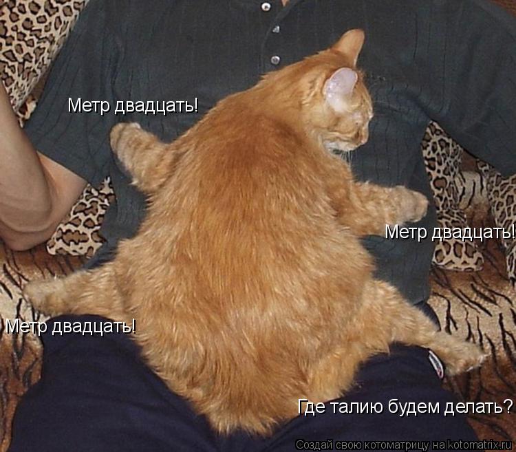 Метр двадцать! Метр двадцать! Метр двадцать! Где талию будем делать?... Котоматрица: Метр двадцать! Метр двадцать! Метр двадцать! Где талию будем делать?
