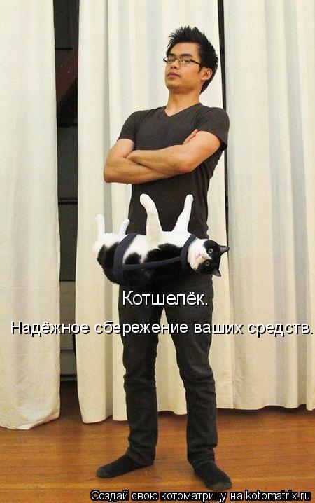 Котшелёк. Надёжное сбережение ваших средств.... Котоматрица: Котшелёк. Надёжное сбережение ваших средств.