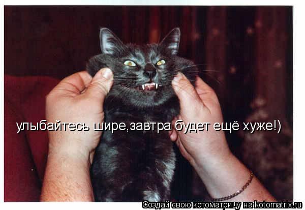 улыбайтесь шире,завтра будет ещё хуже!)... Котоматрица: улыбайтесь шире,завтра будет ещё хуже!)