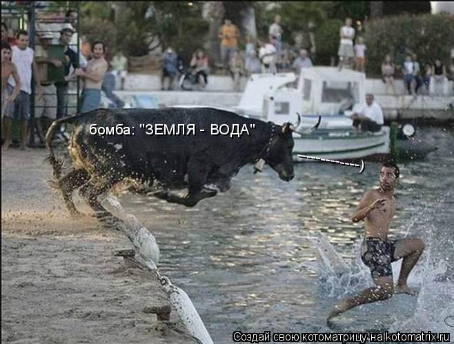 бомба: "ЗЕМЛЯ - ВОДА" -------------)... Котоматрица: бомба: "ЗЕМЛЯ - ВОДА" -------------)
