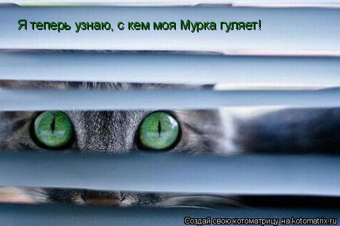 Я теперь узнаю, с кем моя Мурка гуляет!... Котоматрица: Я теперь узнаю, с кем моя Мурка гуляет!