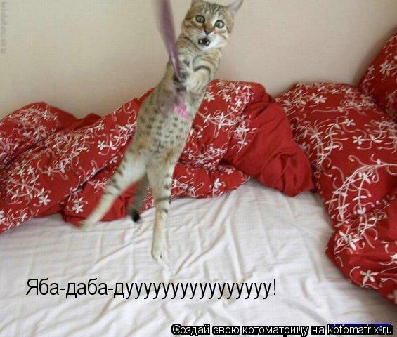 Яба-даба-дуууууууууууууууу!... Котоматрица: Яба-даба-дуууууууууууууууу!