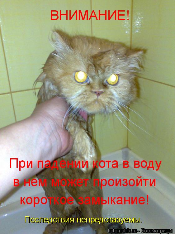Котоматрица: ВНИМАНИЕ! При падении кота в воду в нем может произойти короткое замыкание! Последствия непредсказуемы.