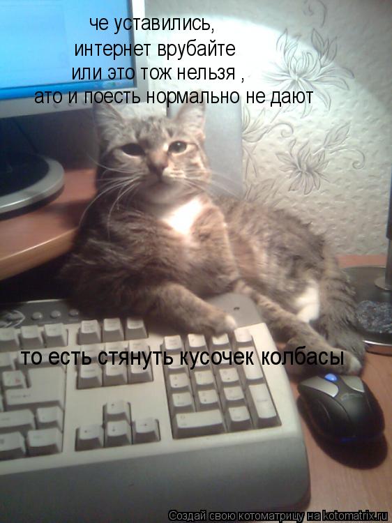 че уставились, интернет врубайте или это тож нельзя , ато и поесть нормально не дают то есть стянуть ... Котоматрица: че уставились, интернет врубайте или это тож нельзя , ато и поесть нормально не дают то есть стянуть кусочек колбасы