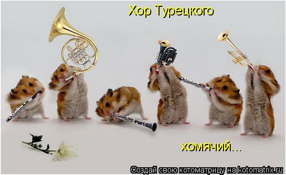 Хор Турецкого хомячий...... Котоматрица: Хор Турецкого хомячий...
