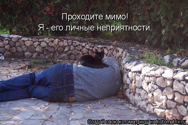 Проходите мимо! Я - его личные неприятности.... Котоматрица: Проходите мимо! Я - его личные неприятности.