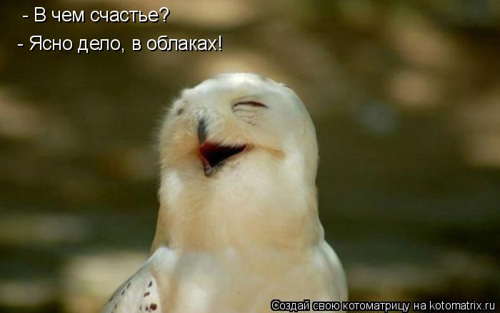 - В чем счастье? - Ясно дело, в облаках!... Котоматрица: - В чем счастье? - Ясно дело, в облаках!