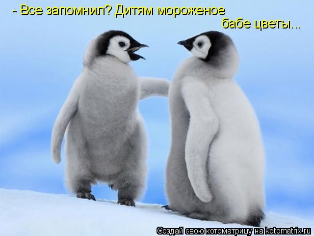 - Все запомнил? Дитям мороженое бабе цветы...... Котоматрица: - Все запомнил? Дитям мороженое бабе цветы...