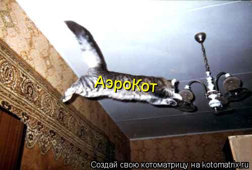 АэроКот... Котоматрица: АэроКот