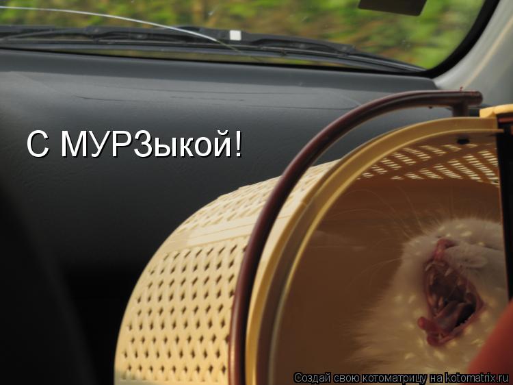 С МУРЗыкой!... Котоматрица: С МУРЗыкой!