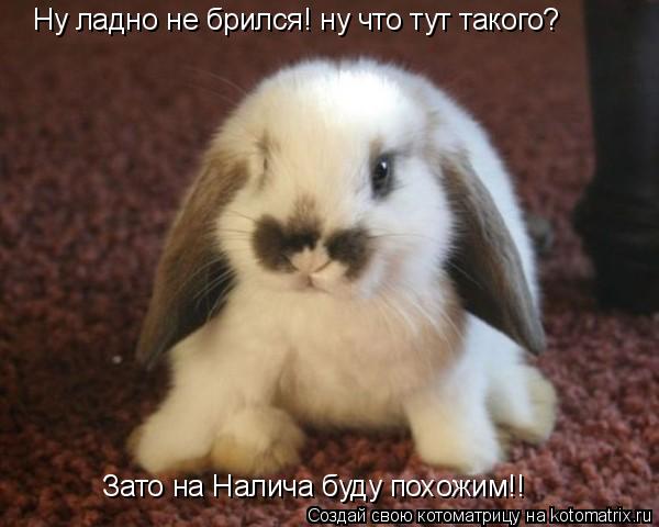 Ну ладно не брился! ну что тут такого? Зато на Налича буду похожим!!... Котоматрица: Ну ладно не брился! ну что тут такого? Зато на Налича буду похожим!!