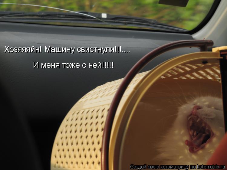 Хозяяяйн! Машину свистнули!!!.... И меня тоже с ней!!!!!... Котоматрица: Хозяяяйн! Машину свистнули!!!.... И меня тоже с ней!!!!!