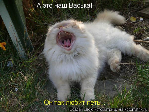 А это наш Васька! Он так любит петь...... Котоматрица: А это наш Васька! Он так любит петь...