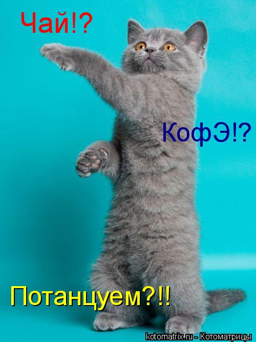 Чай!? КофЭ!? Потанцуем?!!... Котоматрица: Чай!? КофЭ!? Потанцуем?!!