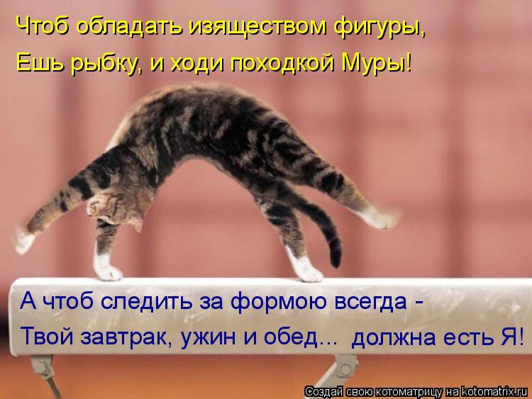 Чтоб обладать изяществом фигуры, Ешь рыбку, и ходи походкой Муры! А чтоб следить за формою всегда - Т... Котоматрица: Чтоб обладать изяществом фигуры, Ешь рыбку, и ходи походкой Муры! А чтоб следить за формою всегда - Твой завтрак, ужин и обед... должна есть Я!