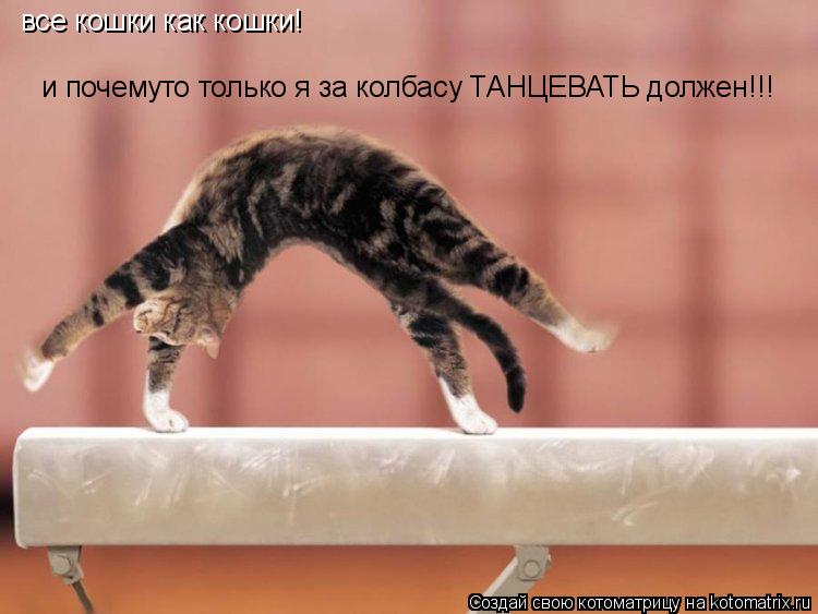 все кошки как кошки! и почемуто только я за колбасу ТАНЦЕВАТЬ должен!!!... Котоматрица: все кошки как кошки! и почемуто только я за колбасу ТАНЦЕВАТЬ должен!!!