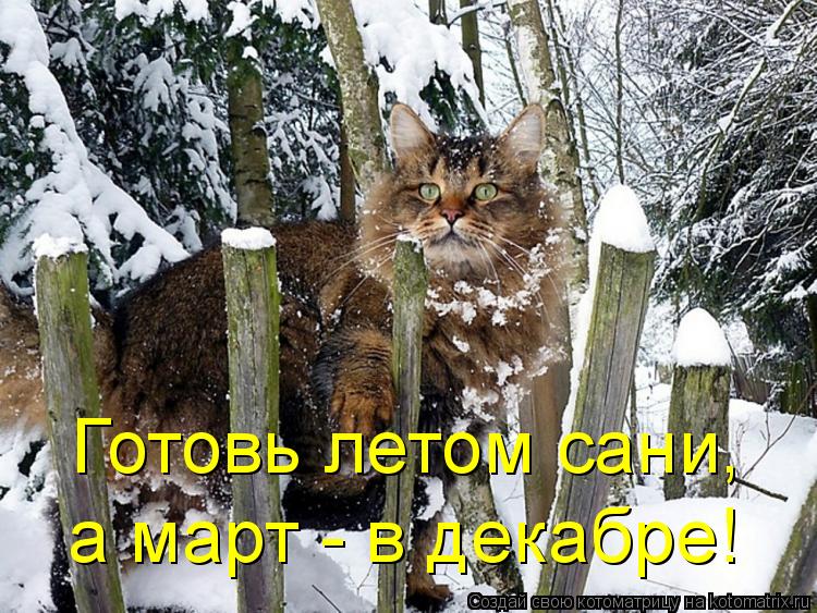 Готовь летом сани, а март - в декабре!... Котоматрица: Готовь летом сани, а март - в декабре!