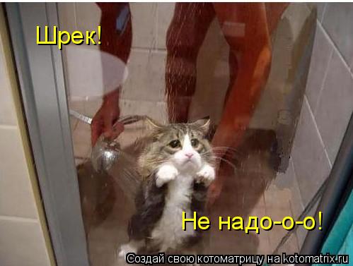 Шрек! Не надо-о-о!... Котоматрица: Шрек! Не надо-о-о!