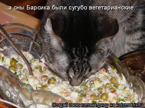 ..а сны Барсика были сугубо вегетарианские...... Котоматрица: ..а сны Барсика были сугубо вегетарианские...