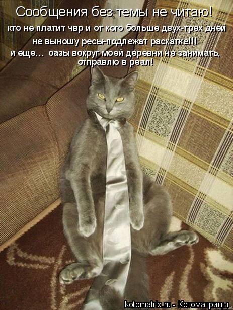 Сообщения без темы не читаю! кто не платит чвр и от кого больше двух-трех дней не выношу ресы-подлеж... Котоматрица: Сообщения без темы не читаю! кто не платит чвр и от кого больше двух-трех дней не выношу ресы-подлежат раскатке!!! и еще... оазы вокруг моей де