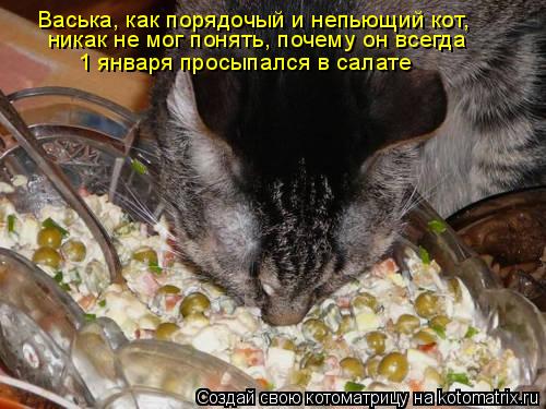 Васька, как порядочый и непьющий кот, никак не мог понять, почему он всегда 1 января просыпался в сал... Котоматрица: Васька, как порядочый и непьющий кот, никак не мог понять, почему он всегда 1 января просыпался в салате