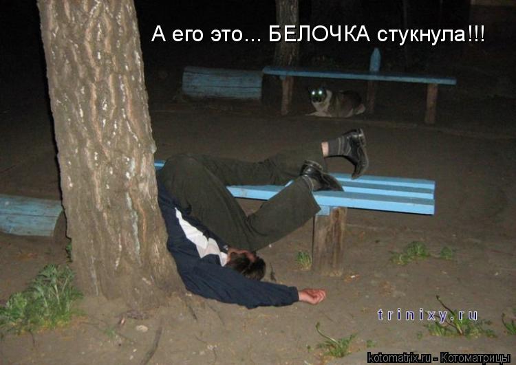 А его это... БЕЛОЧКА стукнула!!!... Котоматрица: А его это... БЕЛОЧКА стукнула!!!