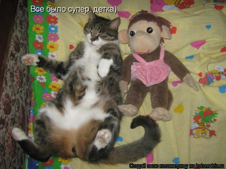 Все было супер, детка)... Котоматрица: Все было супер, детка)